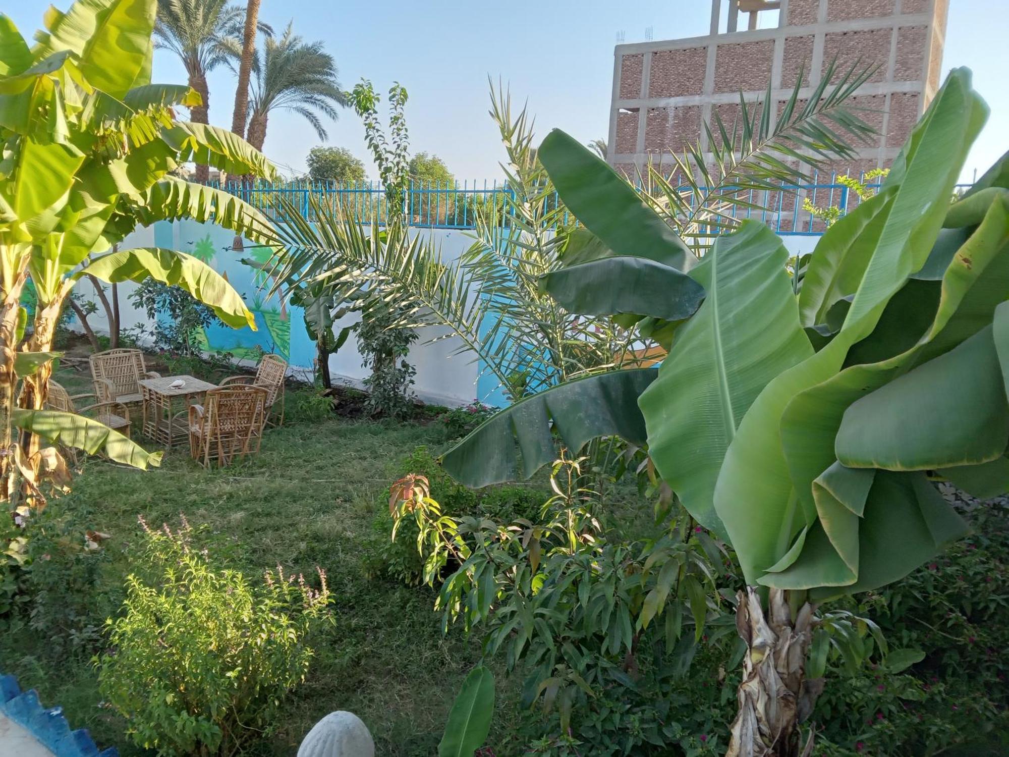 Noby Guest House Louxor Extérieur photo